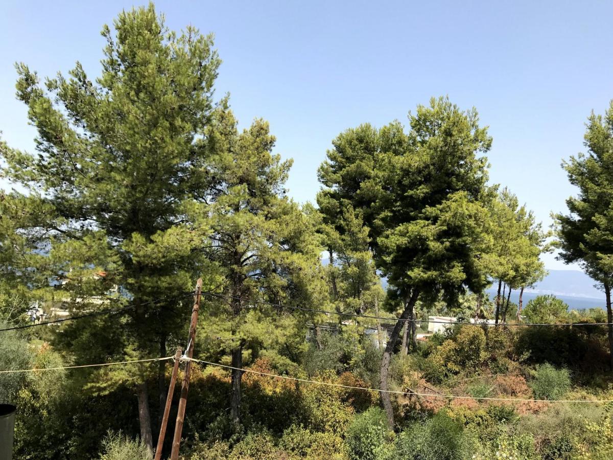 Studio Kalypso Arkítsa 외부 사진